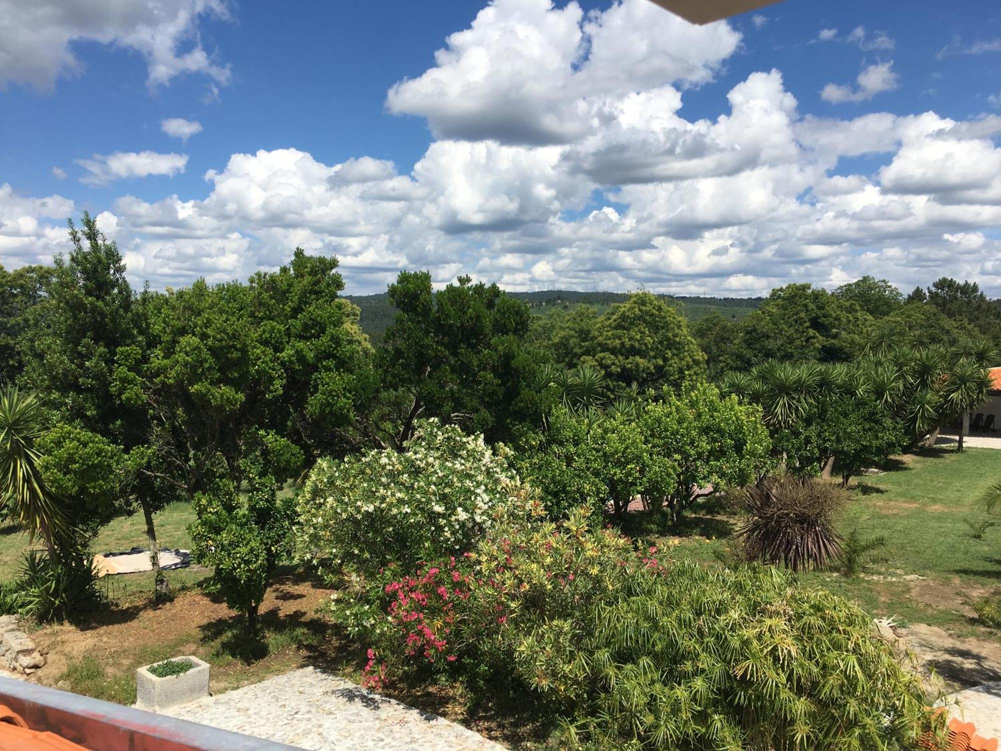 Hotel Quinta De Mocamedes - Turismo De Habitacao Vouzela Esterno foto