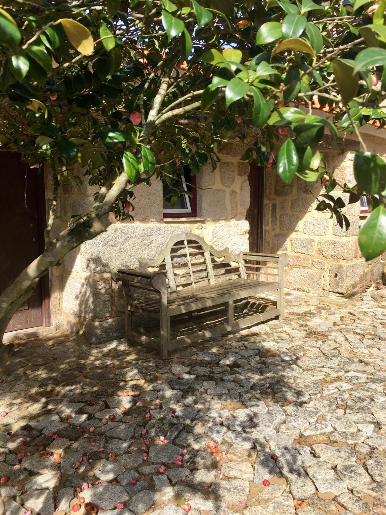 Hotel Quinta De Mocamedes - Turismo De Habitacao Vouzela Esterno foto