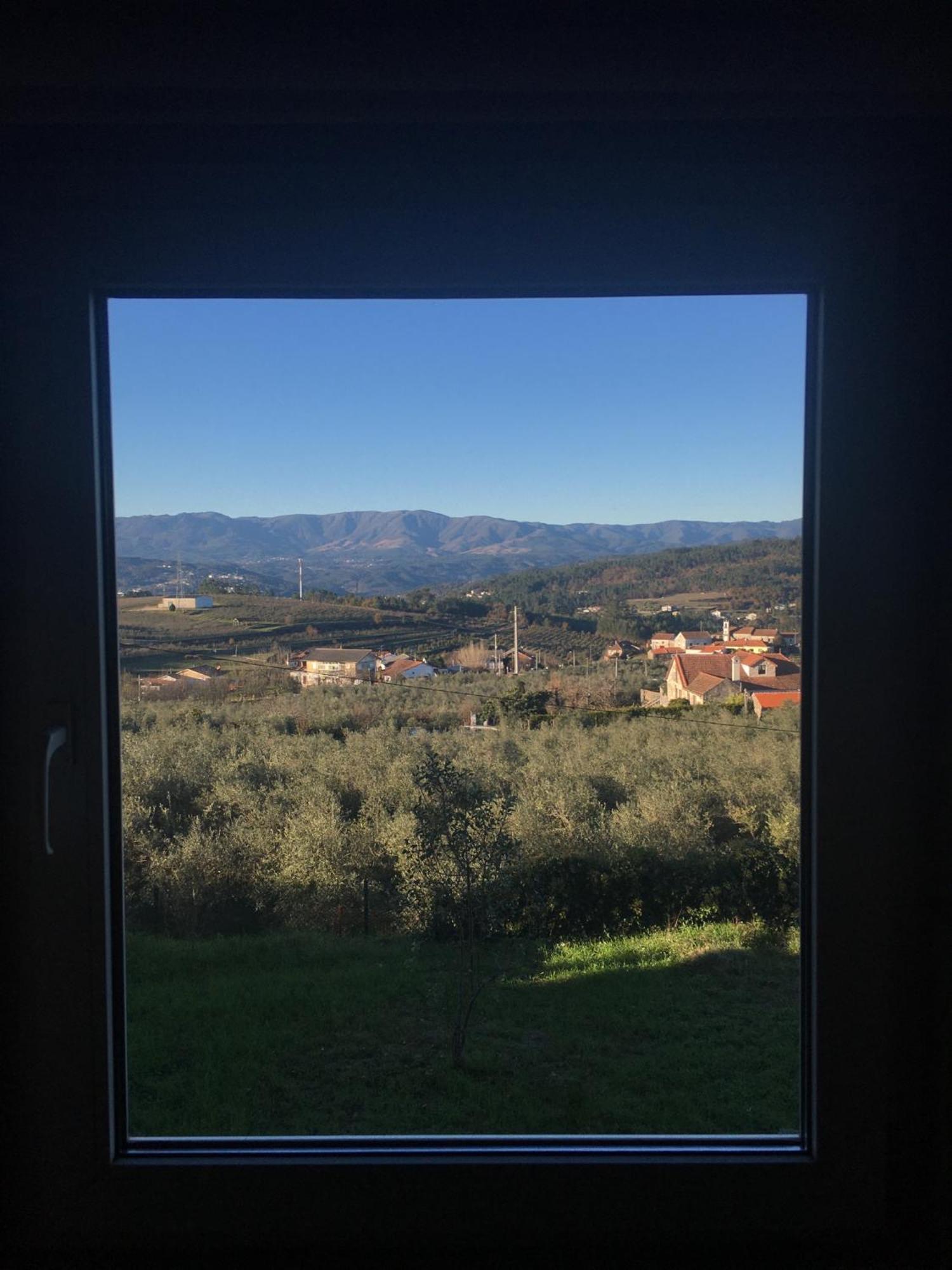 Hotel Quinta De Mocamedes - Turismo De Habitacao Vouzela Esterno foto