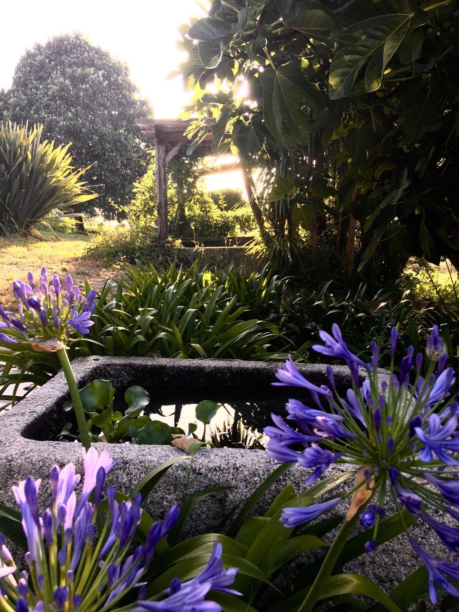 Hotel Quinta De Mocamedes - Turismo De Habitacao Vouzela Esterno foto