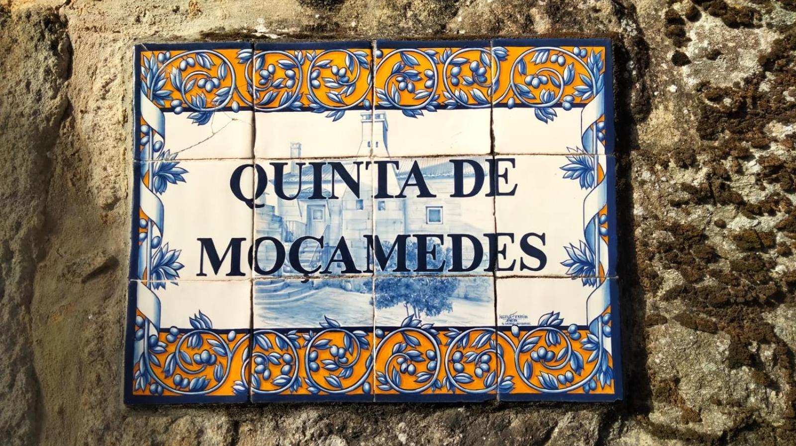 Hotel Quinta De Mocamedes - Turismo De Habitacao Vouzela Esterno foto