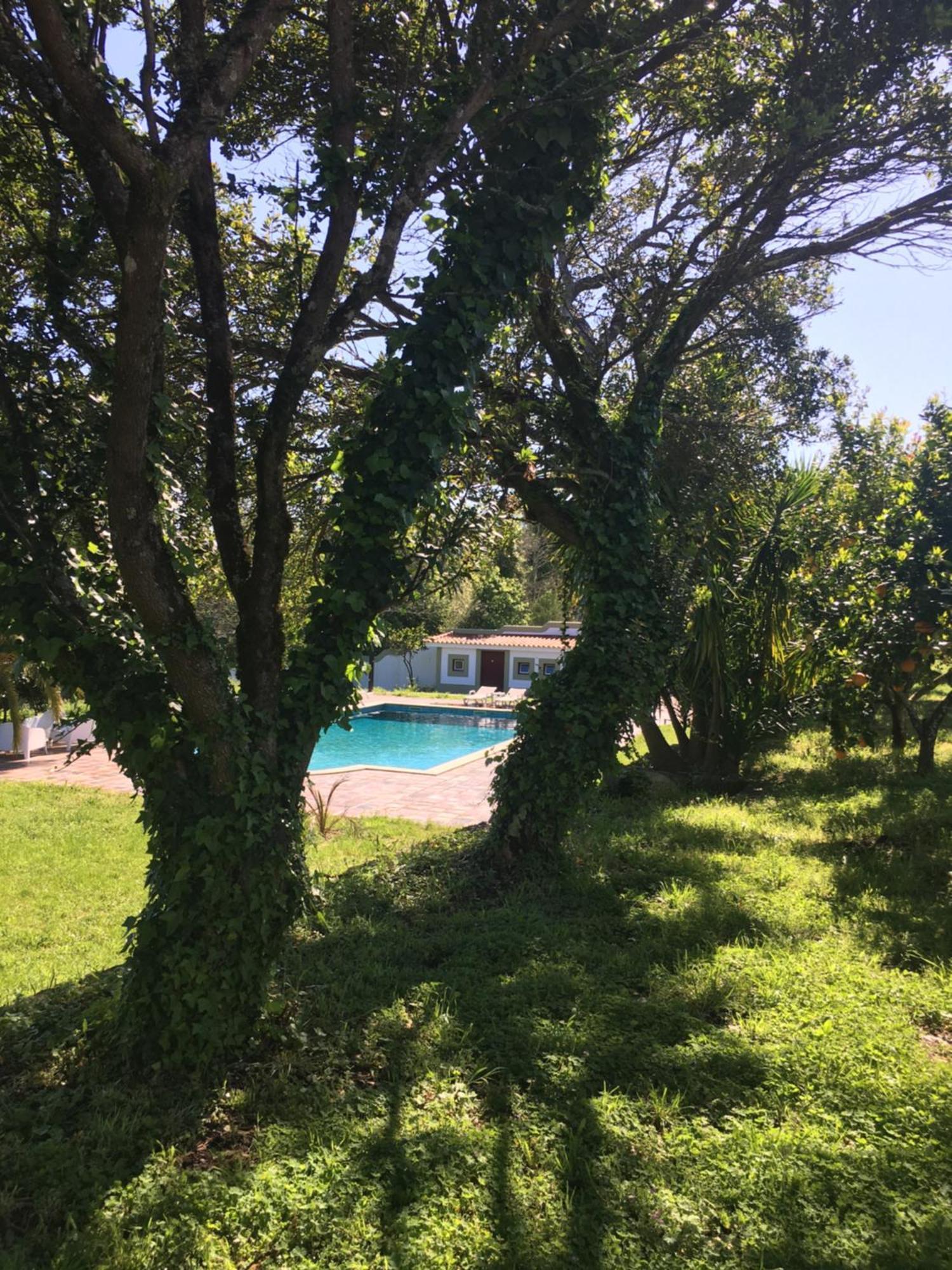 Hotel Quinta De Mocamedes - Turismo De Habitacao Vouzela Esterno foto