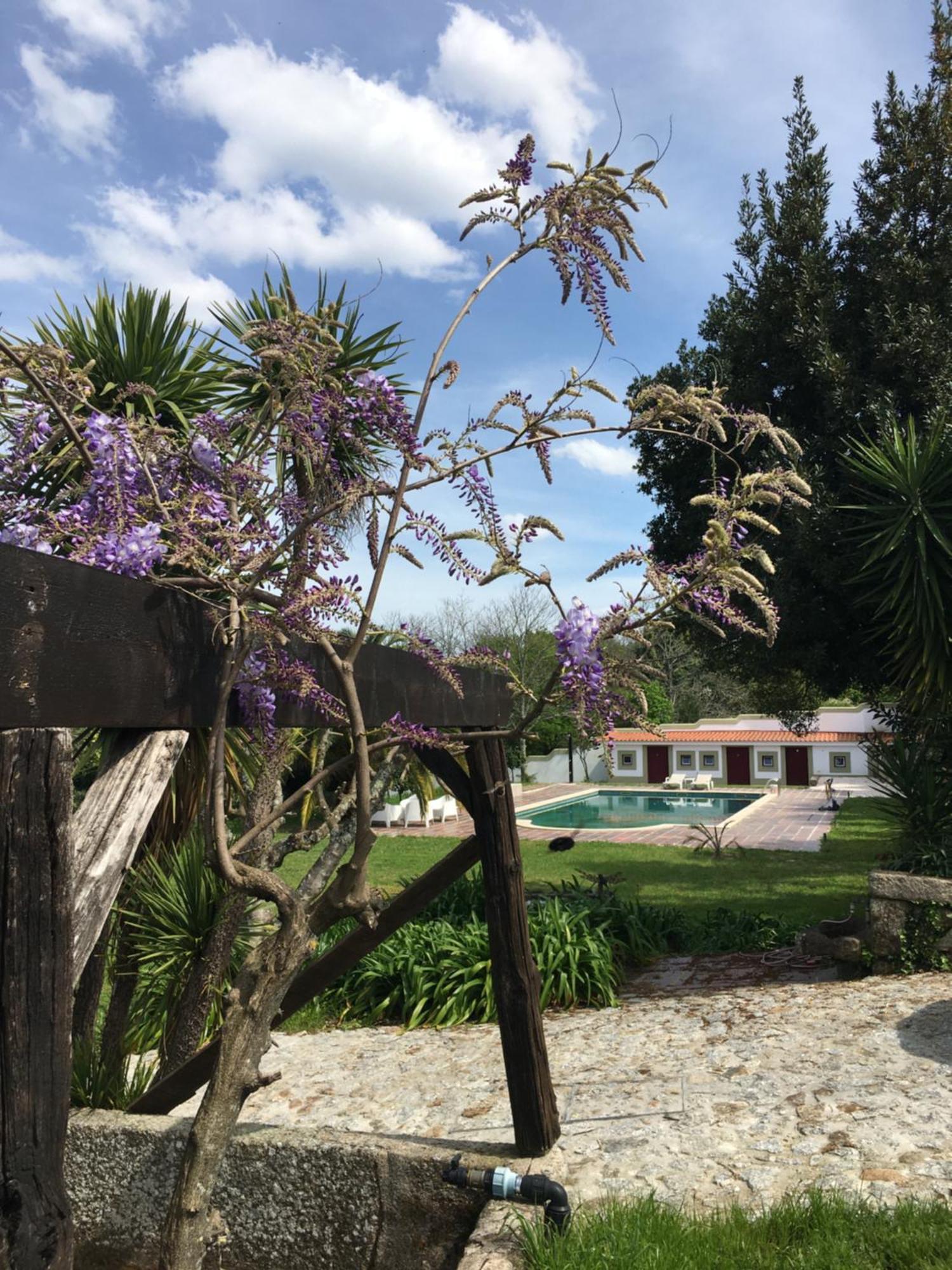 Hotel Quinta De Mocamedes - Turismo De Habitacao Vouzela Esterno foto
